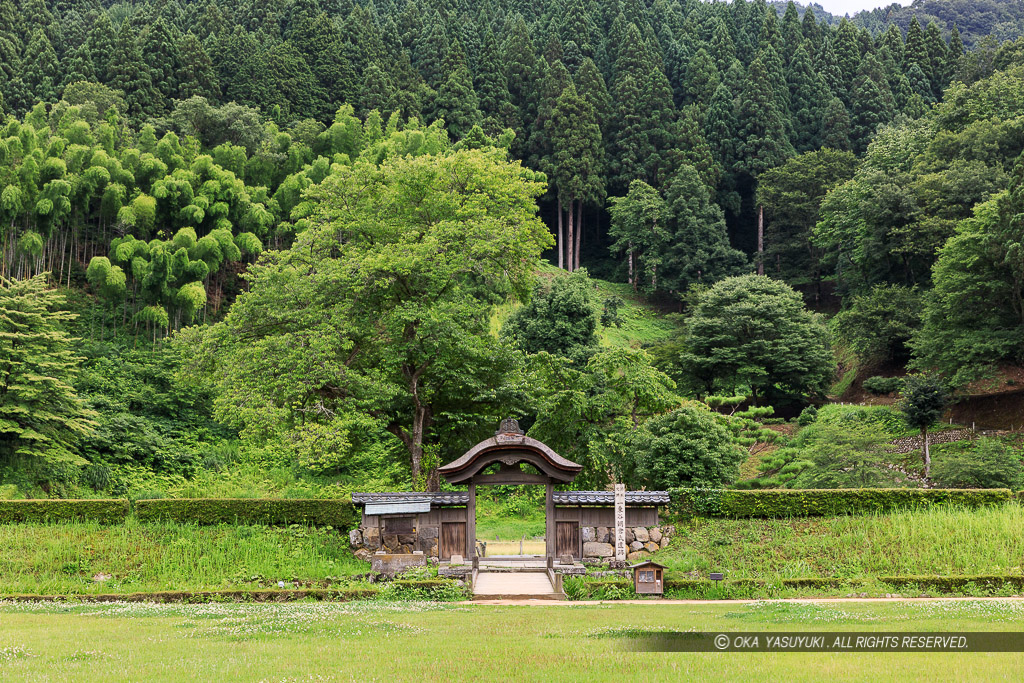 新緑（夏）の朝倉義景館跡・唐門