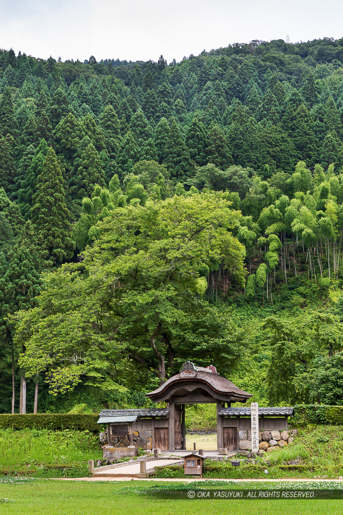 新緑（夏）の朝倉義景館跡・唐門