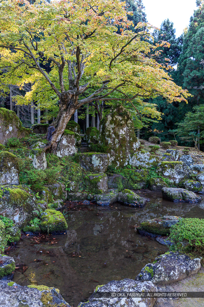 諏訪館跡庭園