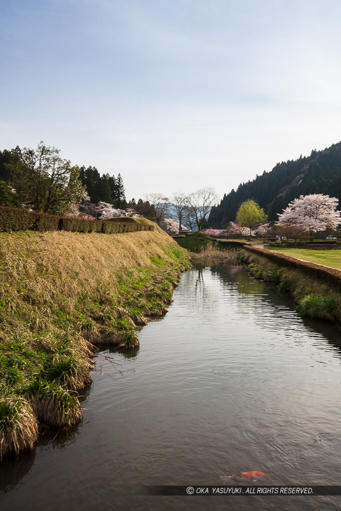 朝倉義景館跡の水堀