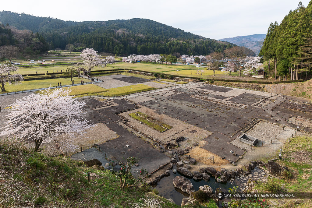 朝倉義景館跡全景・庭園