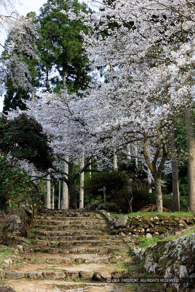 史跡の石階段の風景