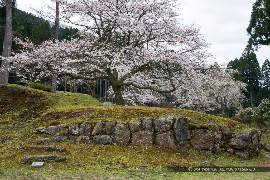 中の御殿跡の土塁と石階段