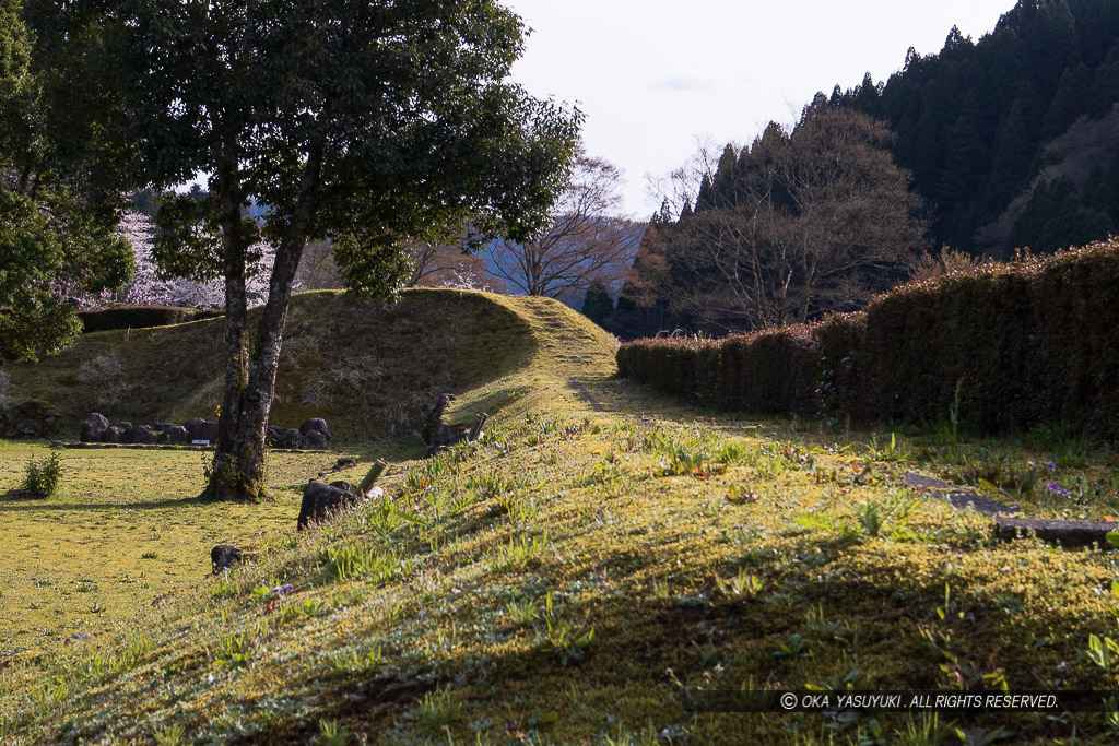 朝倉義景館の土塁と櫓台