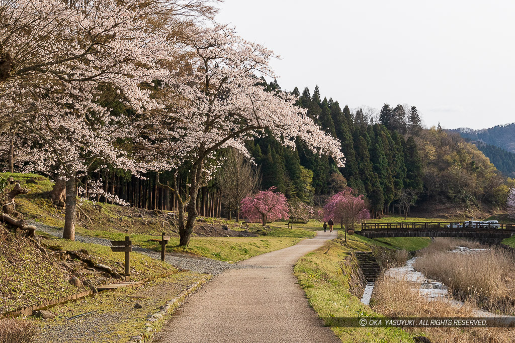 史跡の風景