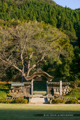 朝倉義景館跡の唐門｜高解像度画像サイズ：2704 x 4064 pixels｜写真番号：53BS7502｜撮影：Canon EOS-1DS