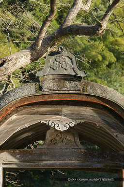 朝倉義景館跡唐門の朝倉家家紋｜高解像度画像サイズ：2704 x 4064 pixels｜写真番号：53BS7508｜撮影：Canon EOS-1DS