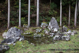 南陽寺跡庭園(足利義昭をもてなした)|高解像度画像サイズ:8688 x 5792 pixels|写真番号:5DSA2462|撮影:Canon EOS 5DS
