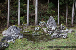 南陽寺跡庭園（足利義昭をもてなした）｜高解像度画像サイズ：8688 x 5792 pixels｜写真番号：5DSA2462｜撮影：Canon EOS 5DS