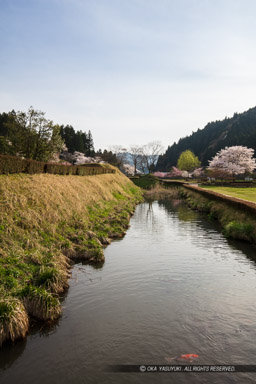 朝倉義景館跡の水堀｜高解像度画像サイズ：5792 x 8688 pixels｜写真番号：5DSA5606｜撮影：Canon EOS 5DS