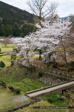 諏訪館と中の御殿の間の空堀|高解像度画像サイズ:4000 x 6000 pixels|写真番号:IMG_0411|撮影:Canon EOS KISS M