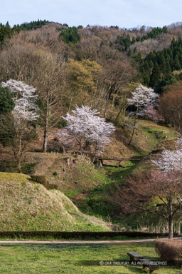 諏訪館と中の御殿の間の空堀|高解像度画像サイズ:4000 x 6000 pixels|写真番号:IMG_0779|撮影:Canon EOS KISS M