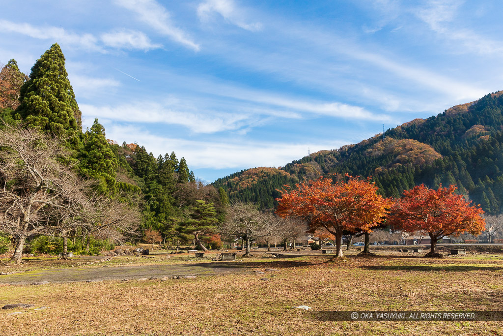 平面復元地区