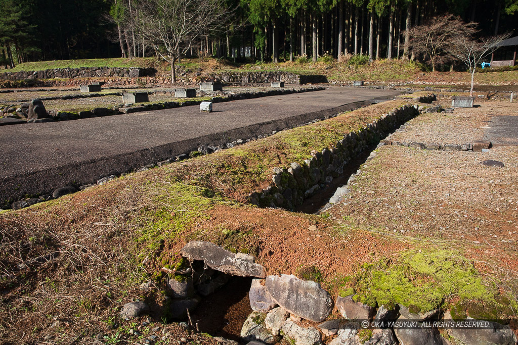 平面復元地区