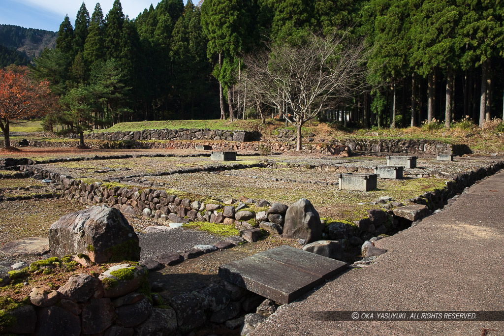 平面復元地区