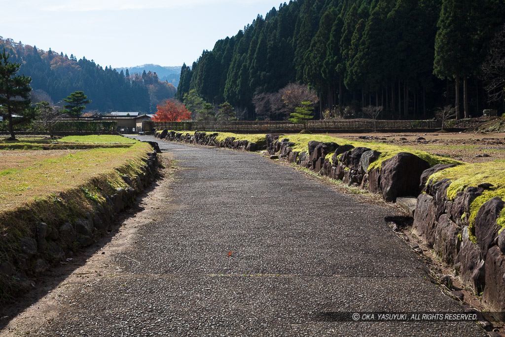 平面復元地区