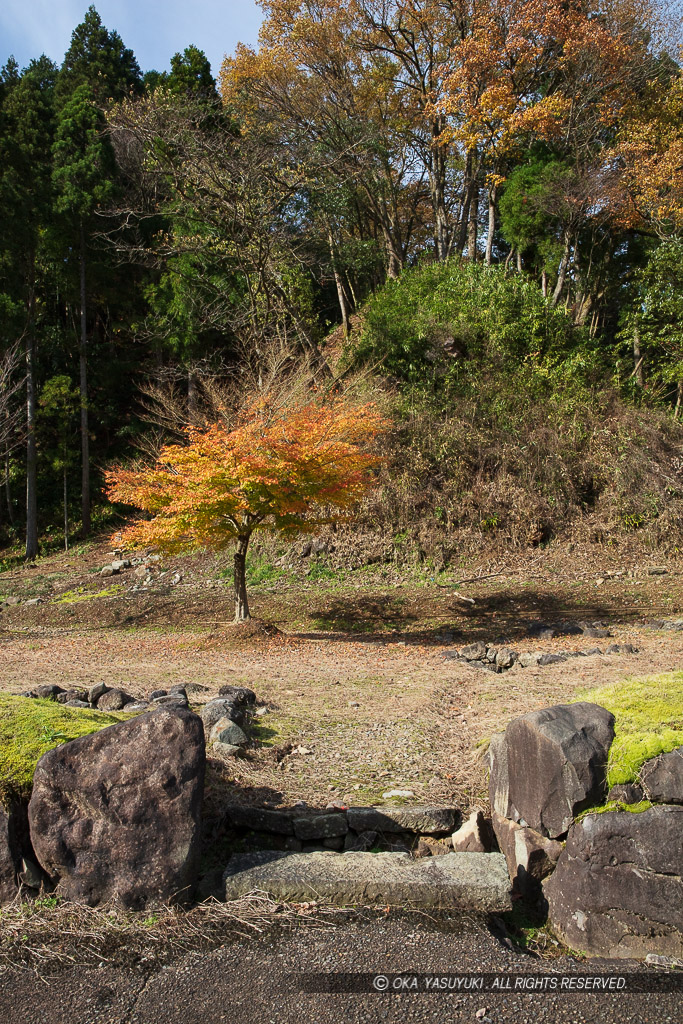 平面復元地区