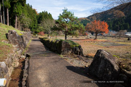 平面復元地区｜高解像度画像サイズ：8688 x 5792 pixels｜写真番号：5DSA2490｜撮影：Canon EOS 5DS