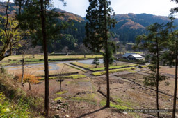 月見やぐら展望所から朝倉氏館を望む|高解像度画像サイズ:8688 x 5792 pixels|写真番号:5DSA2508|撮影:Canon EOS 5DS