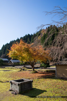 一乗谷町並立体復元地区｜高解像度画像サイズ：5792 x 8688 pixels｜写真番号：5DSA2545｜撮影：Canon EOS 5DS