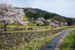 一乗谷川｜高解像度画像サイズ：8688 x 5792 pixels｜写真番号：5DSA5516｜撮影：Canon EOS 5DS