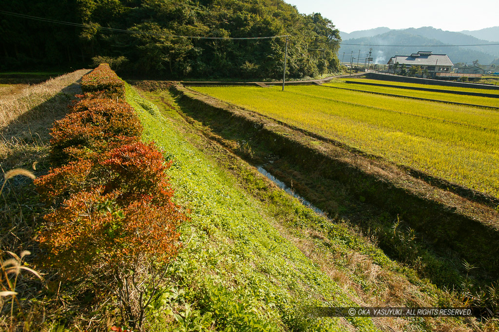 上城戸土塁と水堀跡