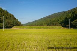 上城戸土塁｜高解像度画像サイズ：4064 x 2704 pixels｜写真番号：53BS8272｜撮影：Canon EOS-1DS