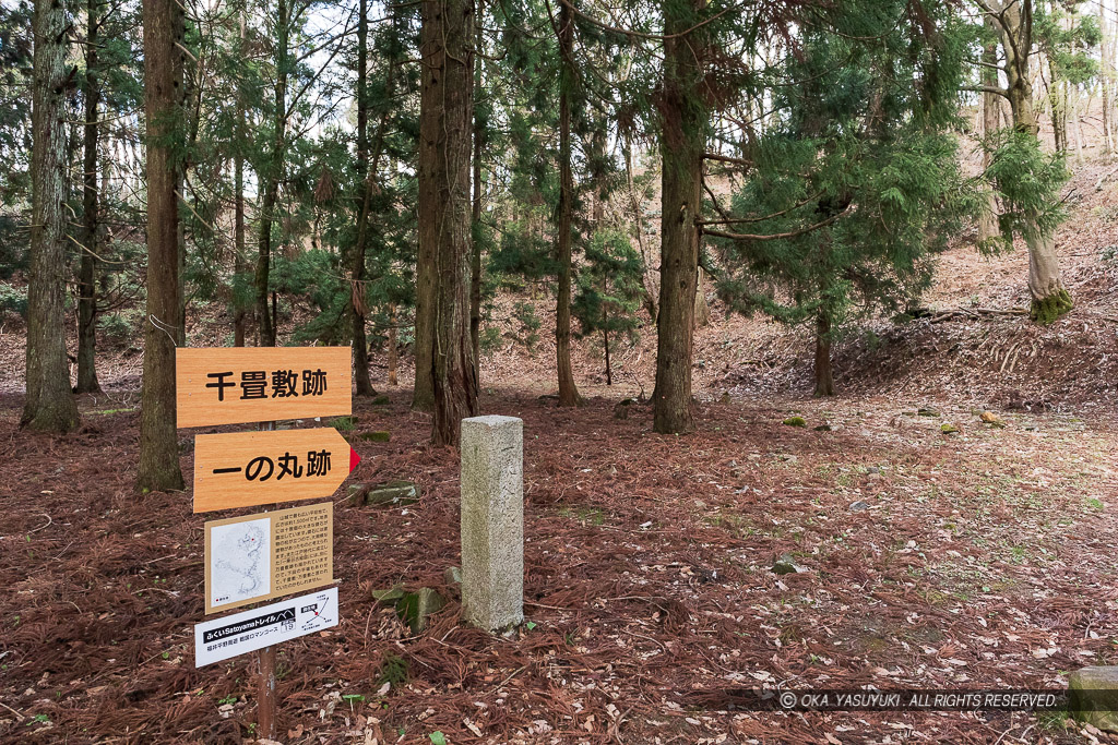 一乗城山の千畳敷跡