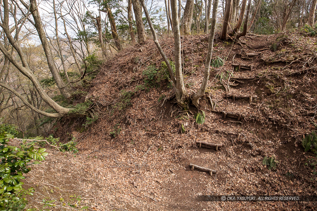 一乗城山三の丸の堀切