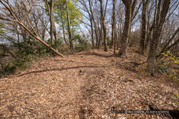 一乗城山三の丸跡｜高解像度画像サイズ：6000 x 4000 pixels｜写真番号：IMG_0673｜撮影：Canon EOS KISS M