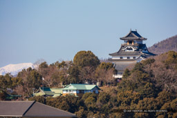 犬山城遠景｜高解像度画像サイズ：8467 x 5643 pixels｜写真番号：5DSA0173-Edit｜撮影：Canon EOS 5DS