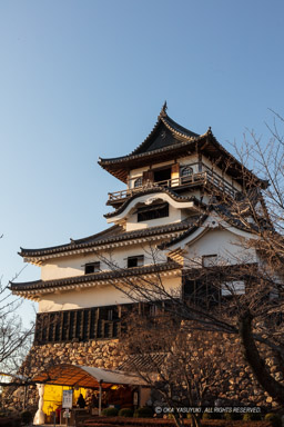 犬山城天守の夕景｜高解像度画像サイズ：5792 x 8688 pixels｜写真番号：5DSA0373｜撮影：Canon EOS 5DS