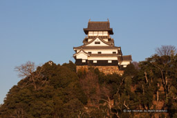 犬山城天守西面｜高解像度画像サイズ：8688 x 5792 pixels｜写真番号：5DSA0391｜撮影：Canon EOS 5DS