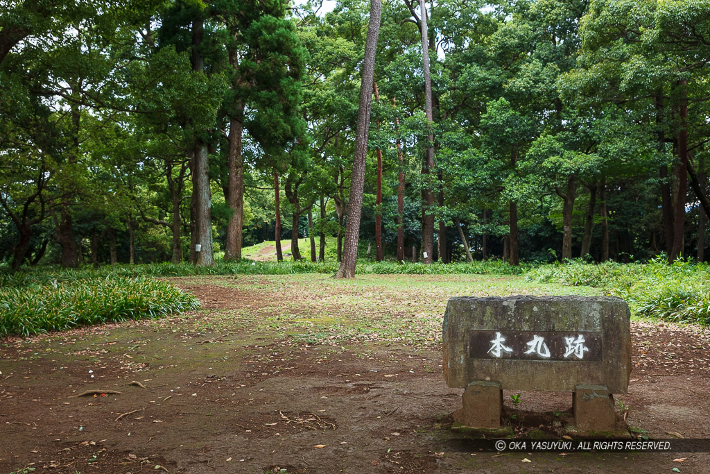 石垣山城本丸跡から小田原市街地を望む