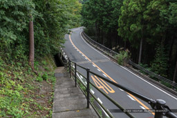 早川石丁場群関白沢支群｜高解像度画像サイズ：8688 x 5792 pixels｜写真番号：5DSA2219｜撮影：Canon EOS 5DS