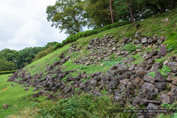 本丸東面石垣｜高解像度画像サイズ：8688 x 5792 pixels｜写真番号：5DSA2299｜撮影：Canon EOS 5DS