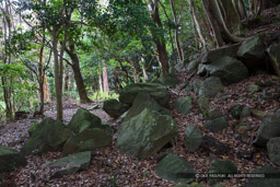 天守台石垣｜高解像度画像サイズ：8688 x 5792 pixels｜写真番号：5DSA2350｜撮影：Canon EOS 5DS