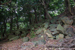 腰曲輪から見た本丸北面石垣|高解像度画像サイズ:8688 x 5792 pixels|写真番号:5DSA2355|撮影:Canon EOS 5DS