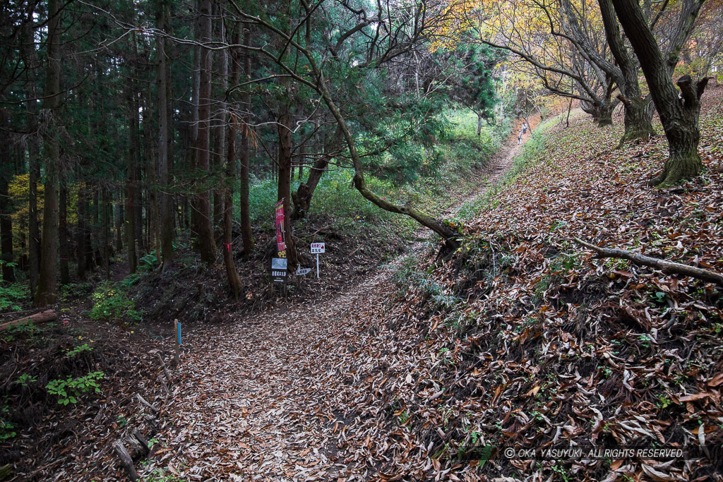 竪堀を利用した登城路