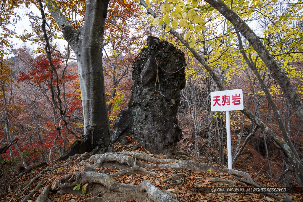 天狗岩・岩櫃山山頂までの道（尾根通り）風景