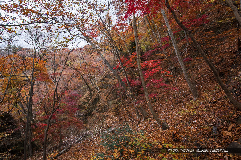 岩櫃山山頂までの道（尾根通り）風景