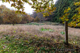 中城跡｜高解像度画像サイズ：6720 x 4480 pixels｜写真番号：5D4A1186｜撮影：Canon EOS 5D Mark IV