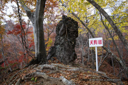 天狗岩・岩櫃山山頂までの道（尾根通り）風景｜高解像度画像サイズ：6720 x 4480 pixels｜写真番号：5D4A1227｜撮影：Canon EOS 5D Mark IV