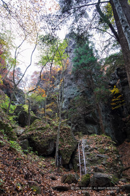 岩櫃山山頂までの道（尾根通り）風景｜高解像度画像サイズ：4480 x 6720 pixels｜写真番号：5D4A1238｜撮影：Canon EOS 5D Mark IV