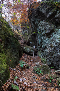 岩櫃山山頂までの道（尾根通り）風景｜高解像度画像サイズ：4480 x 6720 pixels｜写真番号：5D4A1241｜撮影：Canon EOS 5D Mark IV