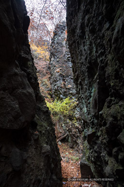 岩櫃山山頂までの道（尾根通り）風景｜高解像度画像サイズ：4480 x 6720 pixels｜写真番号：5D4A1243｜撮影：Canon EOS 5D Mark IV