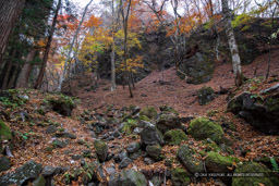 岩櫃山山頂までの道（沢通り）風景｜高解像度画像サイズ：6720 x 4480 pixels｜写真番号：5D4A1276｜撮影：Canon EOS 5D Mark IV