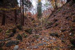 岩櫃山山頂までの道（沢通り）風景｜高解像度画像サイズ：6720 x 4480 pixels｜写真番号：5D4A1278｜撮影：Canon EOS 5D Mark IV