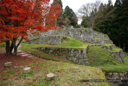 二の丸から本丸を望む｜高解像度画像サイズ：5616 x 3744 pixels｜写真番号：1P3J5393｜撮影：Canon EOS-1Ds Mark III