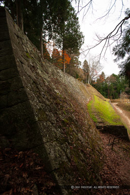 本丸石垣｜高解像度画像サイズ：3744 x 5616 pixels｜写真番号：1P3J5545｜撮影：Canon EOS-1Ds Mark III